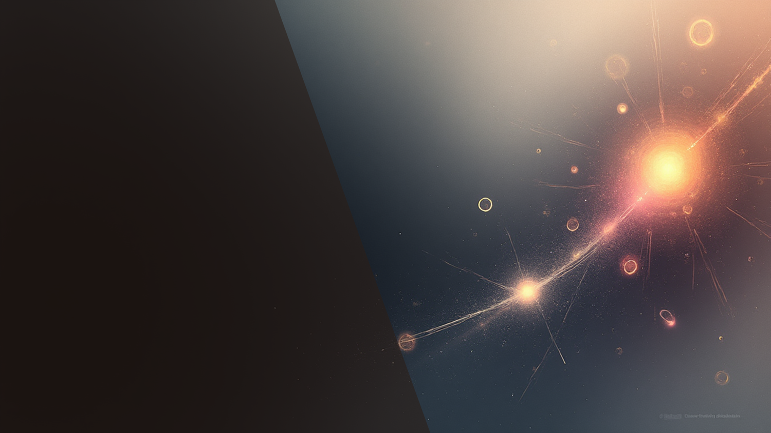 Board Game Accessories