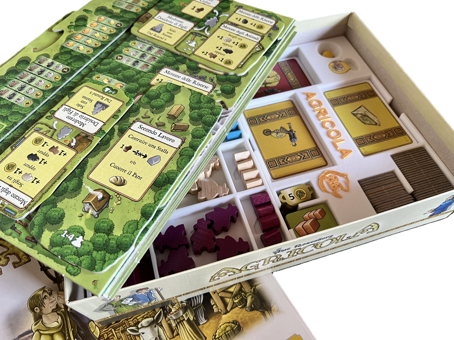 Agricola Brettspiel-Organizer | 3D-gedruckter Aufbewahrungseinsatz
