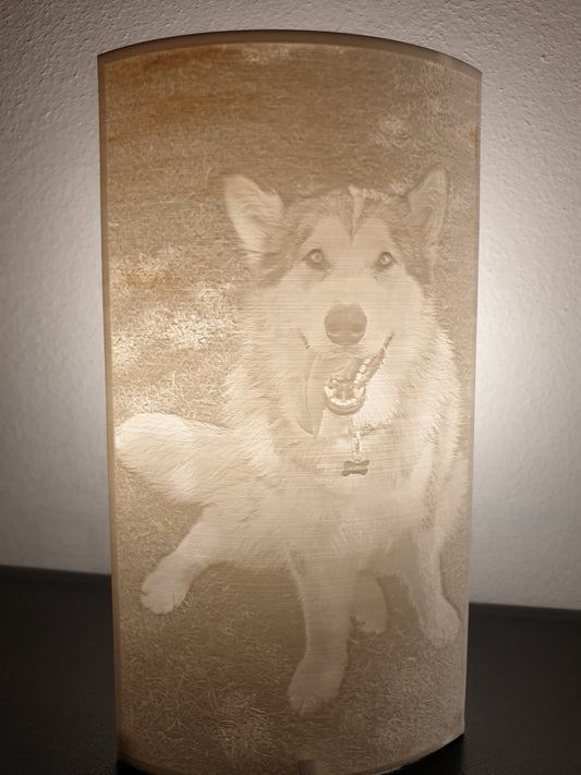 Custom 3D Printed Lithophanes - Personalized Photo Lamp with Cable - Unique Gifts for Home Decor - 220V