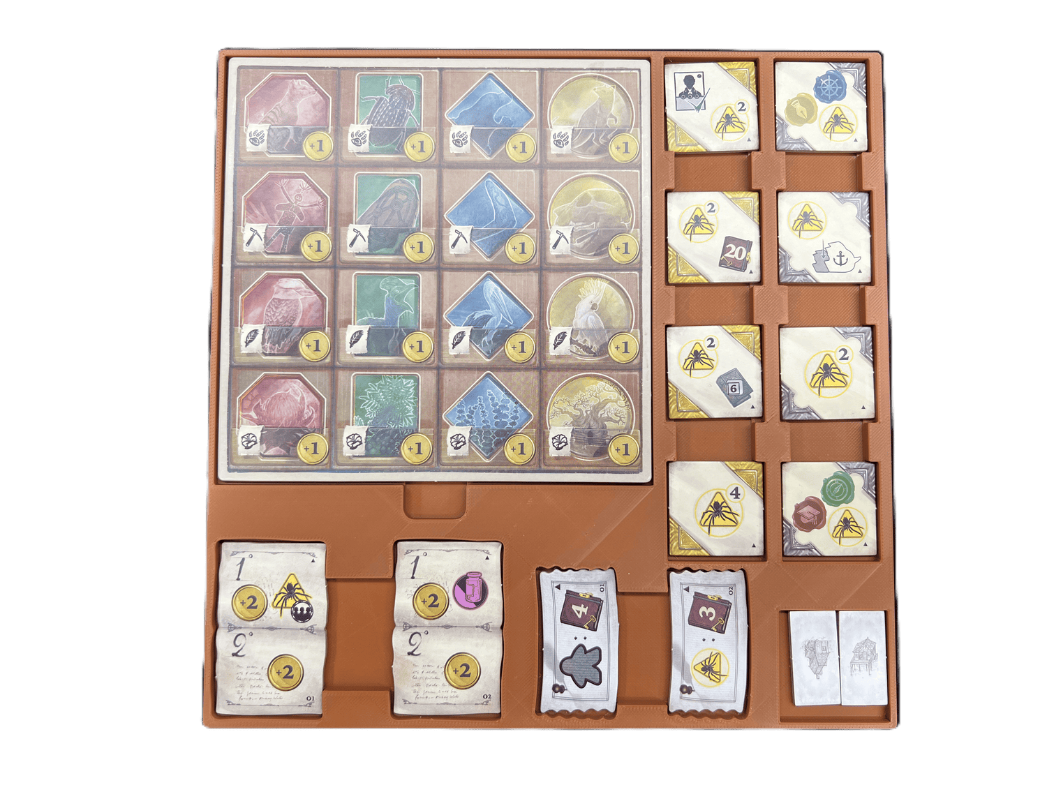 Insert for Darwin's Journey Oceania Expansion Founder's Edition - STL File to 3D Print