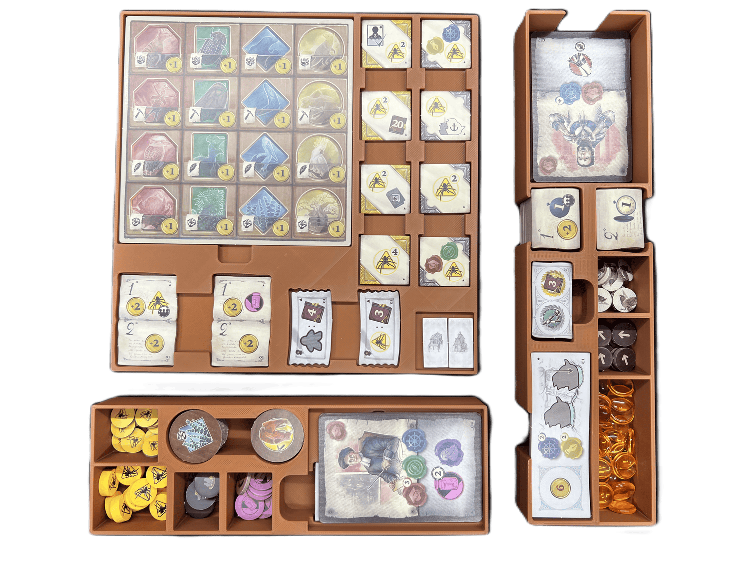 Insert for Darwin's Journey Oceania Expansion Founder's Edition - STL File to 3D Print