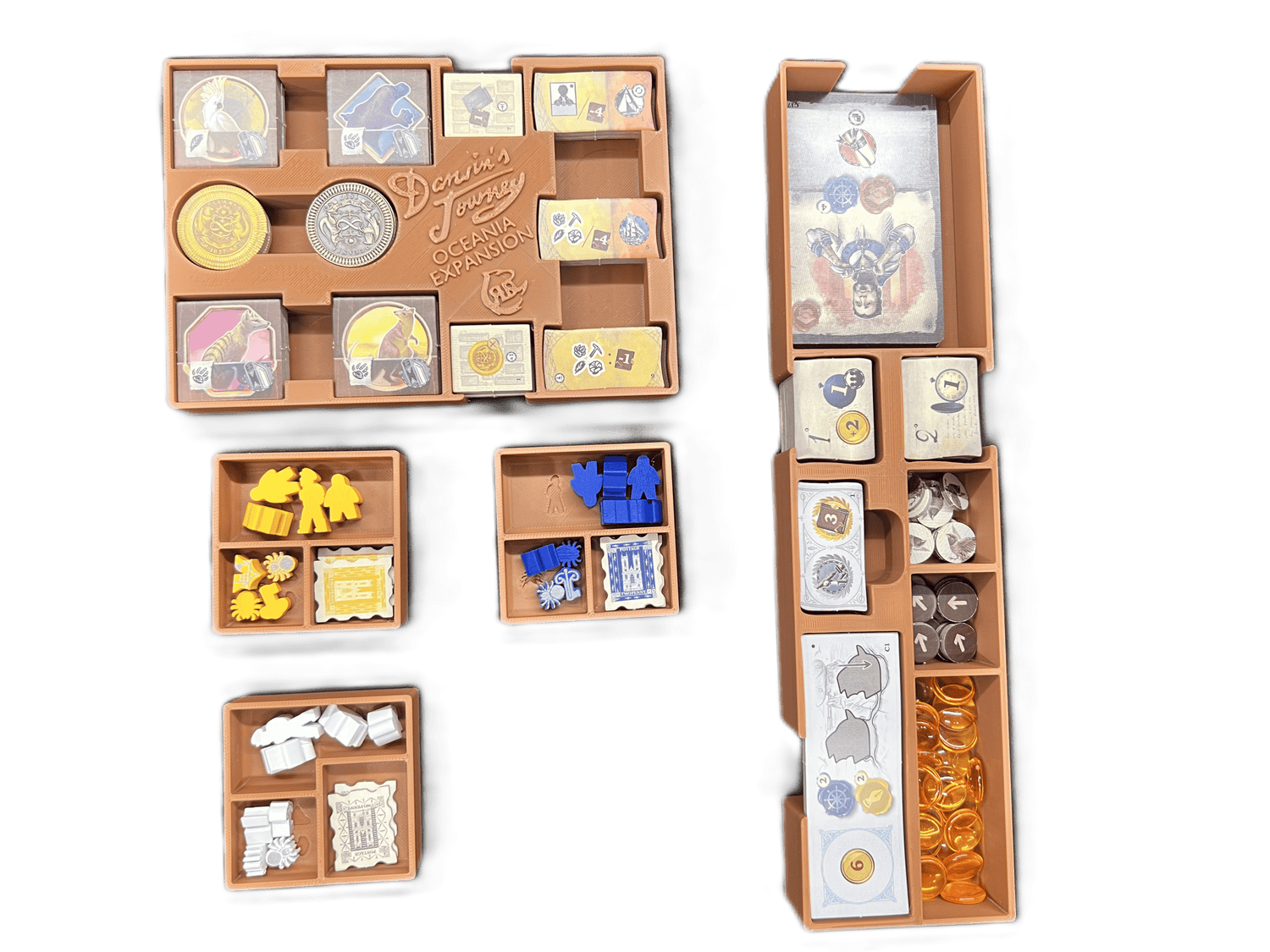 Insert for Darwin's Journey Oceania Expansion Founder's Edition - STL File to 3D Print