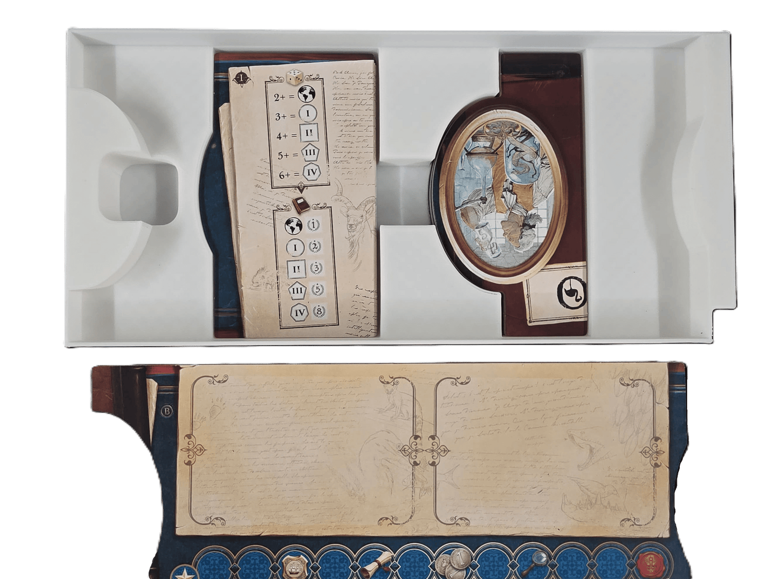 Encyclopedia 3D Printed Organizer | Insert