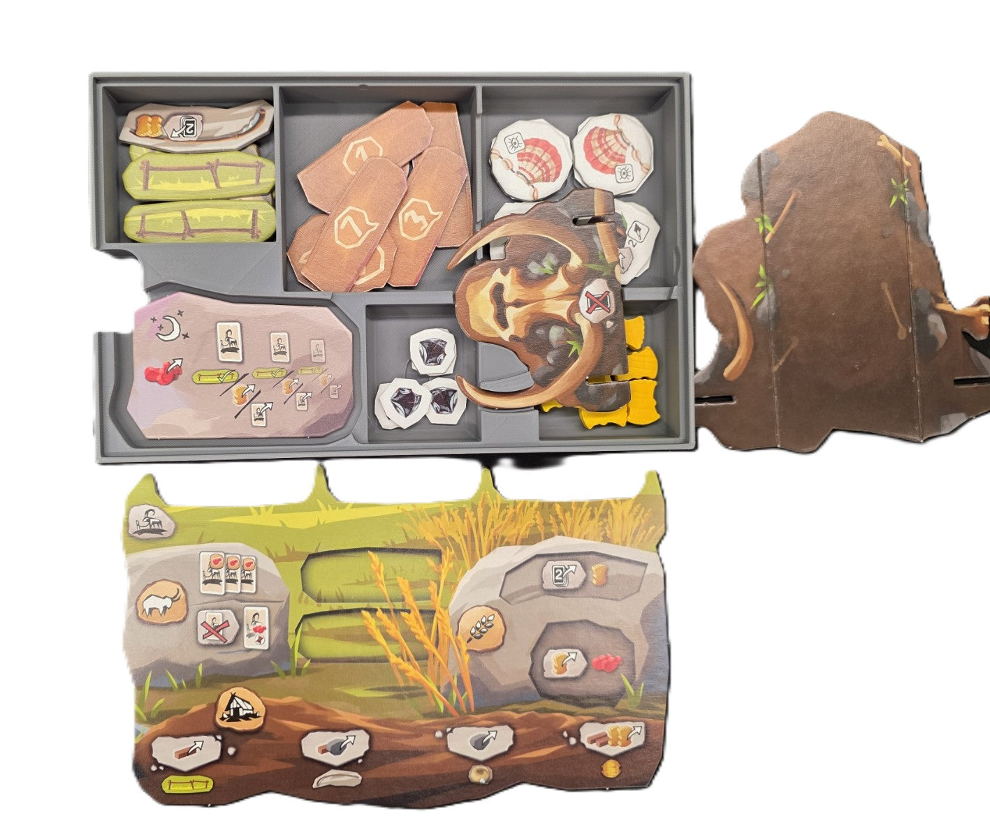 Paleo + A New Beginning + Cards Expansions Board Game Organizer Insert